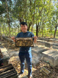 mật ong nguyên chất